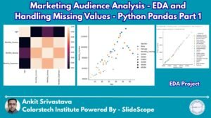 Marketing Audience Analysis